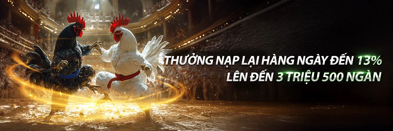 Đá gà trực tuyến kịch tính trên 123b Android