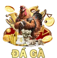 Sự kiện và giải đấu độc quyền